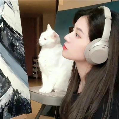窥探